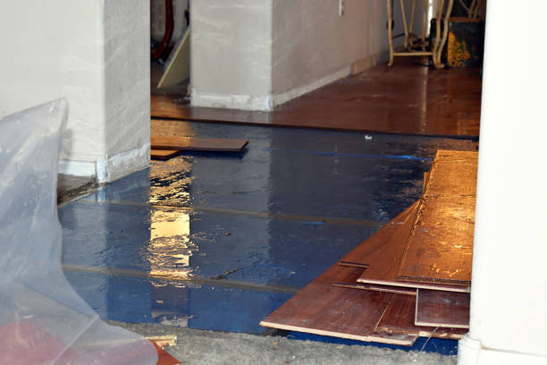Professional Water Damage Restoration technician working in Williston, NC